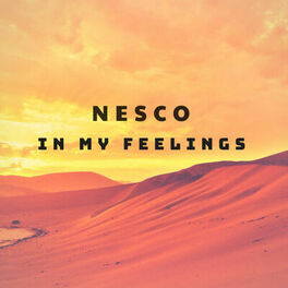Album cover of In My Feelings