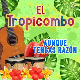 Album cover of Aunque Tengas Razón