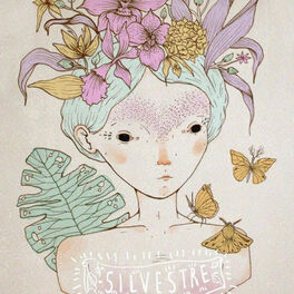 Album cover of Silvestre