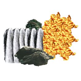 Album cover of Wanderflower