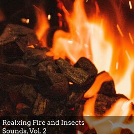 Album cover of Realxing Fire and Insects Sounds, Vol. 2