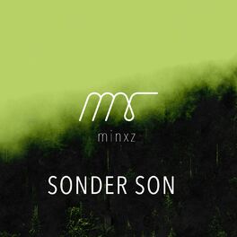Album cover of Sonder Son