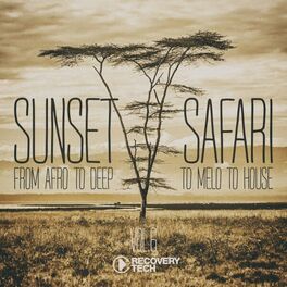 Album cover of Sunset Safari, Vol. 6