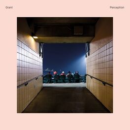 Album cover of Perception