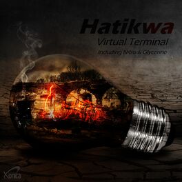 Album cover of Virtual Terminal