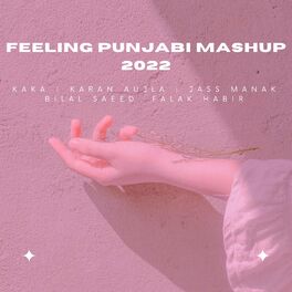 Album cover of Feeling Punjabi Mashup 2022 (feat. Falak Shabir & Jass Manak)