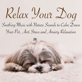 Album cover of Relax Your Dog – Soothing Music with Nature Sounds to Calm Down Your Pet, Anti Stress and Anxiety Relaxation
