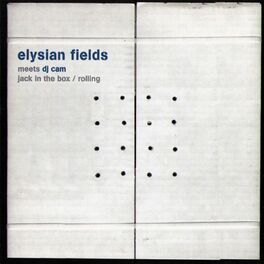 Album cover of Elysian Fields meets Dj Cam