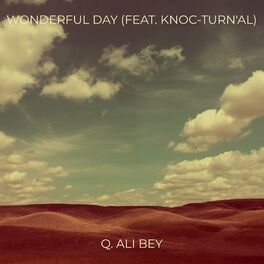 Album cover of Wonderful Day