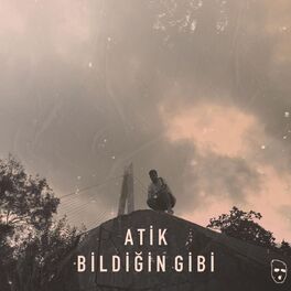 Album cover of Bildiğin Gibi