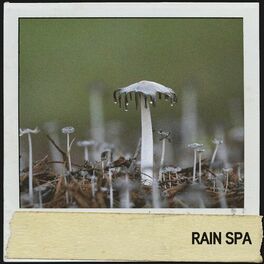 Album cover of Rain Spa : Pluie somnolente et tons doux