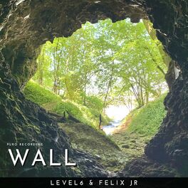 Album cover of Wall