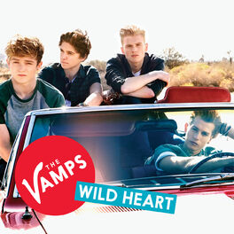 Album cover of Wild Heart