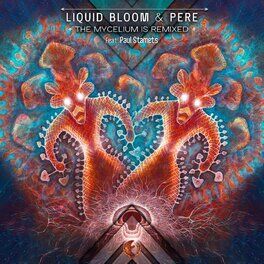 Album cover of The Mycelium is Remixed
