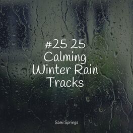 Album cover of #25 25 Calming Winter Rain Tracks