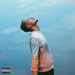 Album cover of Healer