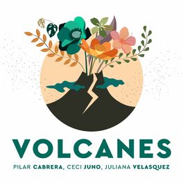 Album cover of Volcanes