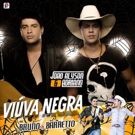 Album cover of Viúva Negra