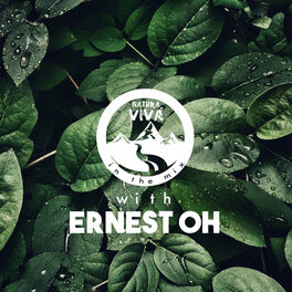 Album cover of Natura Viva in the Mix With Ernest Oh