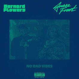 Album cover of No Bad Vibes (feat. Jucee Froot)