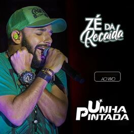 Album cover of Zé da Recaída