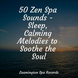 Album cover of 50 Zen Spa Sounds - Sleep, Calming Melodies to Soothe the Soul