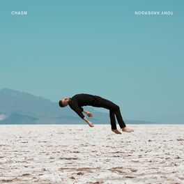 Album cover of Chasm