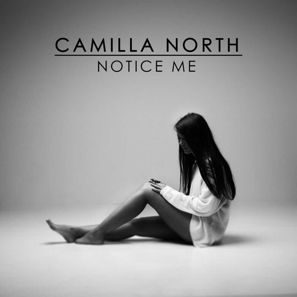 Noticed (Song). Camila n.