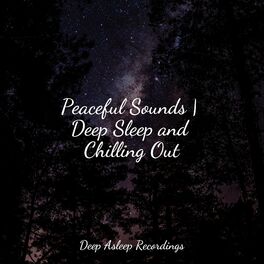 Album cover of Peaceful Sounds | Deep Sleep and Chilling Out