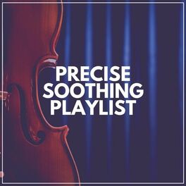 Album cover of Precise Soothing Playlist