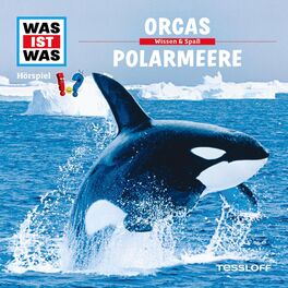 Album cover of 50: Orcas / Polarmeere