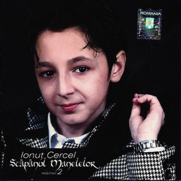 Album cover of Stapanul manelelor volumul 2