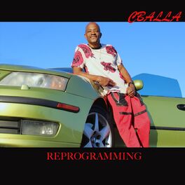 Album cover of Reprogramming
