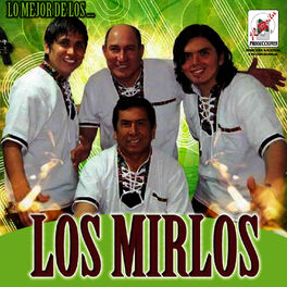 Album cover of Lo Mejor de los Mirlos
