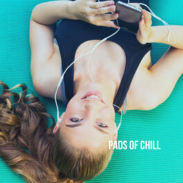 Album cover of Pads of Chill