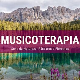 Album cover of Musicoterapia 2019: Música Relaxante com Sons da Natureza, Pássaros e Florestas