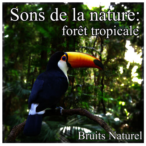 Bruits Naturel Sons De La Nature Forêt Tropicale Listen