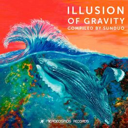 Album cover of Illusion of Gravity