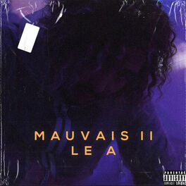 Album cover of Mauvais II (Freestyle)