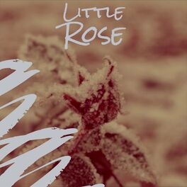 Album cover of Little Rose