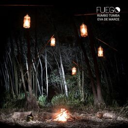 Album cover of Fuego