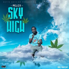 Album cover of Sky High