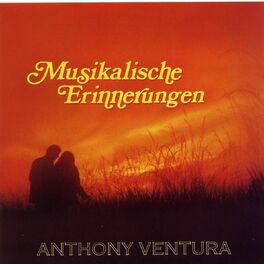 Album cover of Musikalische Erinnerungen - Die Großen Erfolge