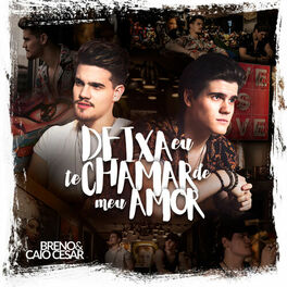 Album cover of Deixa Eu Te Chamar de Meu Amor
