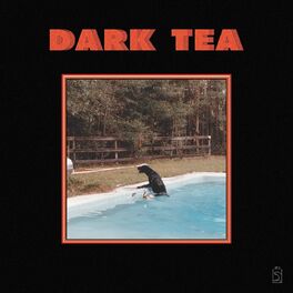 Album cover of Dark Tea
