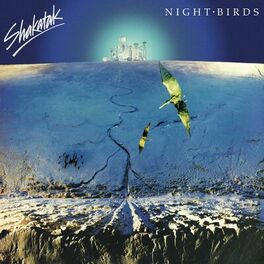 Album cover of Night Birds