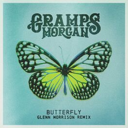 Album cover of Butterfly (Glenn Morrison Remix)