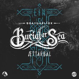 Album cover of EÍN: Ættarbál