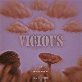 Album cover of VICIOUS