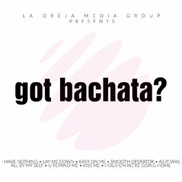 Album cover of got bachata?
